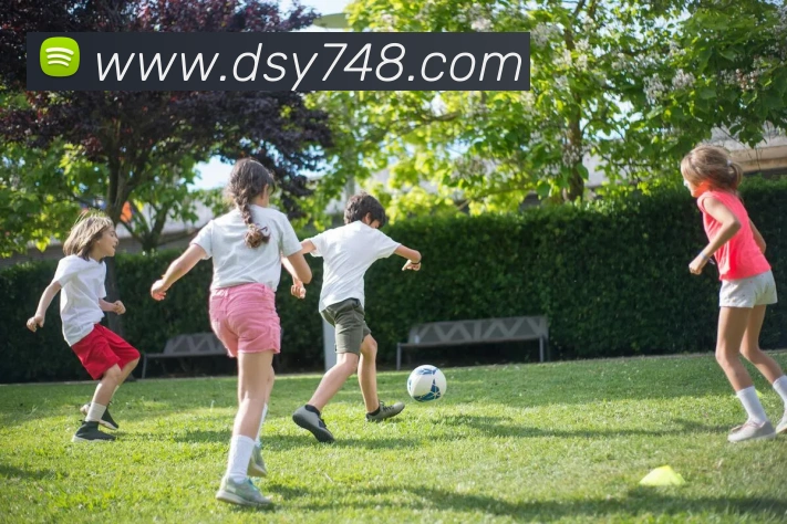 大三元官网平台登录平台生态图